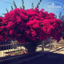 фото из отзыва ID 1570146