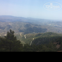 фото из отзыва ID 1570178