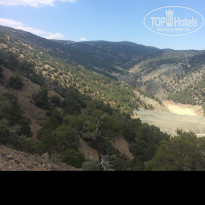 фото из отзыва ID 1570178