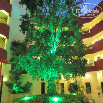 фото из отзыва ID 1570295