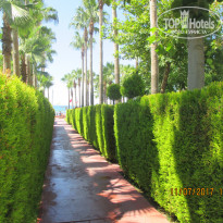 фото из отзыва ID 1570295