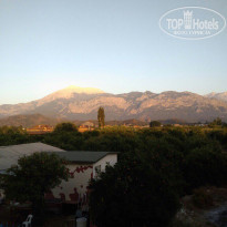 фото из отзыва ID 1570302