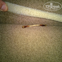 фото из отзыва ID 1570462