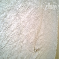 фото из отзыва ID 1570462