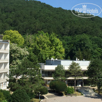 фото из отзыва ID 1570590