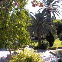 фото из отзыва ID 1570386