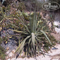 фото из отзыва ID 1570386