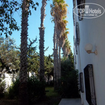 фото из отзыва ID 1570386