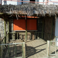 фото из отзыва ID 1570718