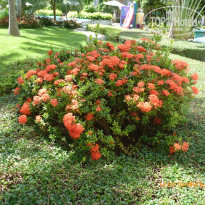 фото из отзыва ID 1570741