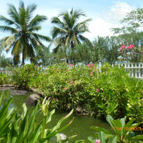 фото из отзыва ID 1570741