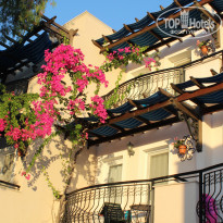 фото из отзыва ID 1570837