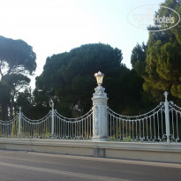 фото из отзыва ID 1571107