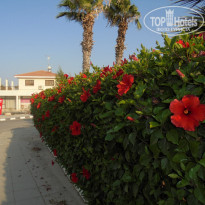 фото из отзыва ID 1571267