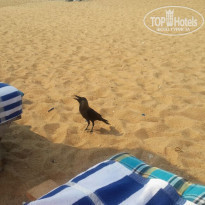 фото из отзыва ID 1571291