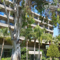 фото из отзыва ID 1571461