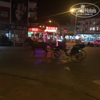 фото из отзыва ID 1571477