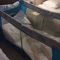 фото из отзыва ID 1571478