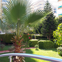 фото из отзыва ID 1571759