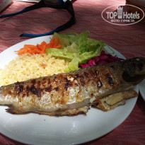 фото из отзыва ID 1571759