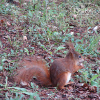 фото из отзыва ID 1571779