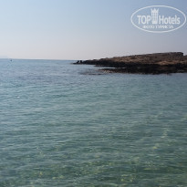 фото из отзыва ID 1571787