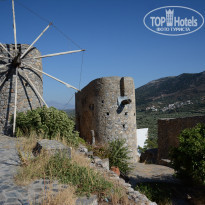 фото из отзыва ID 1571891