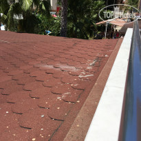 фото из отзыва ID 1571918