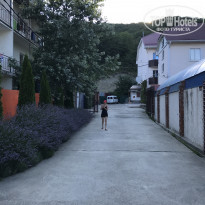 фото из отзыва ID 1572006