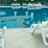 фото из отзыва ID 1572018