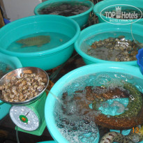 фото из отзыва ID 1572094