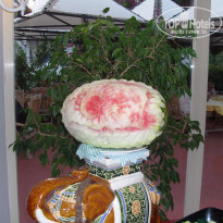 фото из отзыва ID 1572128