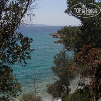 фото из отзыва ID 1572128