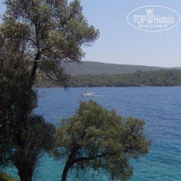 фото из отзыва ID 1572128