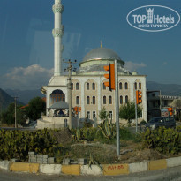 фото из отзыва ID 1572128