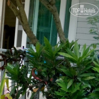 фото из отзыва ID 1572100