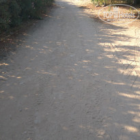 фото из отзыва ID 1572177