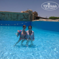 фото из отзыва ID 1572383