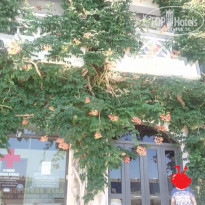 фото из отзыва ID 1572425