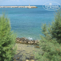 фото из отзыва ID 1572425