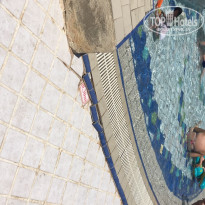 фото из отзыва ID 1572584