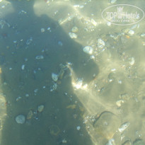 фото из отзыва ID 1572599