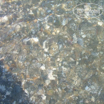 фото из отзыва ID 1572599