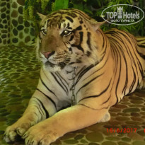 фото из отзыва ID 1572635