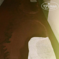 фото из отзыва ID 1572787