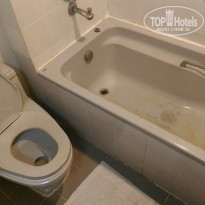 фото из отзыва ID 1572787