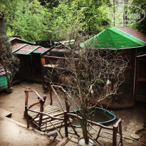 фото из отзыва ID 1572804