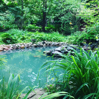 фото из отзыва ID 1572804