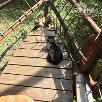 фото из отзыва ID 1572804