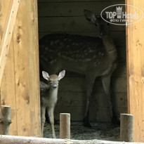 фото из отзыва ID 1572804